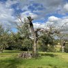36_wehntaler Hagöpfel7